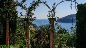 Concimare le rose in primavera: la tecnica in due fasi