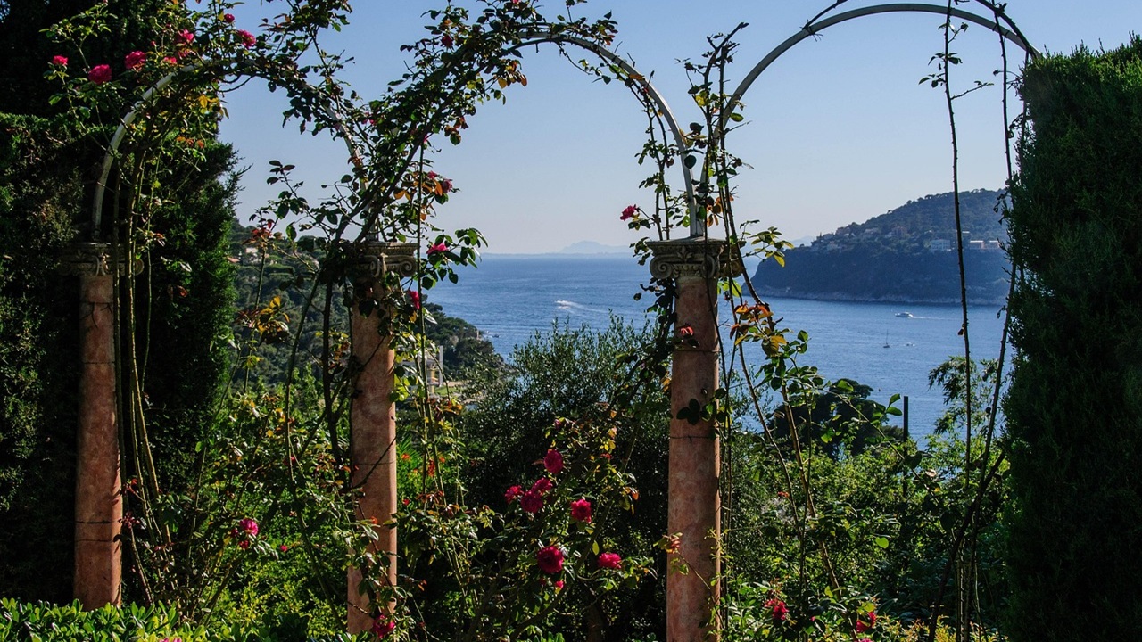 concimare rose