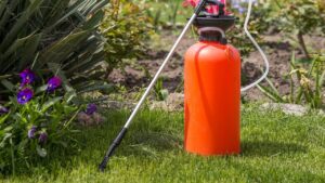 Fertilizzante granulare o liquido: qual è quello migliore per il prato?