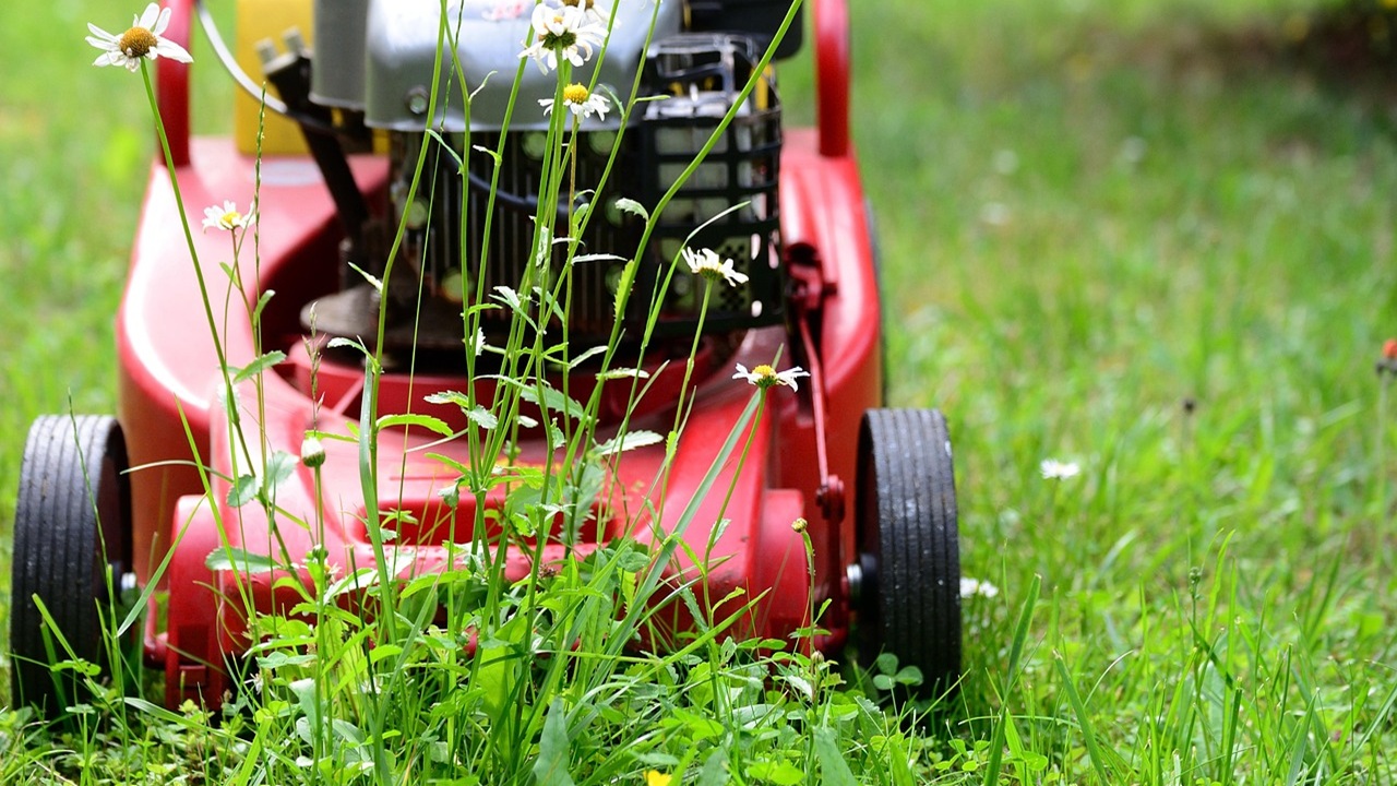 tagliare erba, modifiche giardino