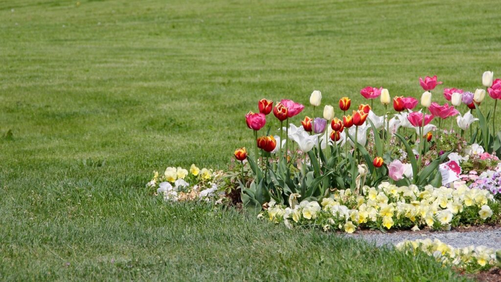 Quando tagliare il prato se nel giardino sono presenti dei bulbi?