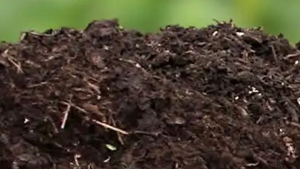 Terriccio con compost