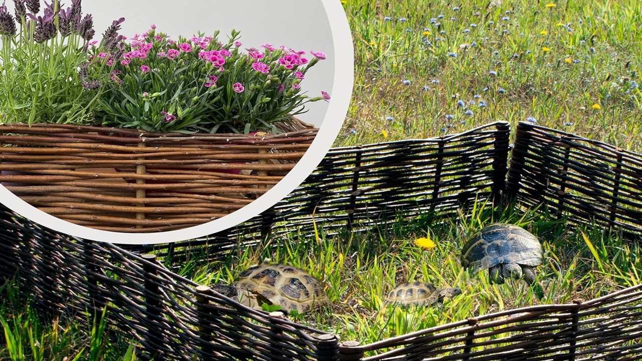 bordura vimini giardino