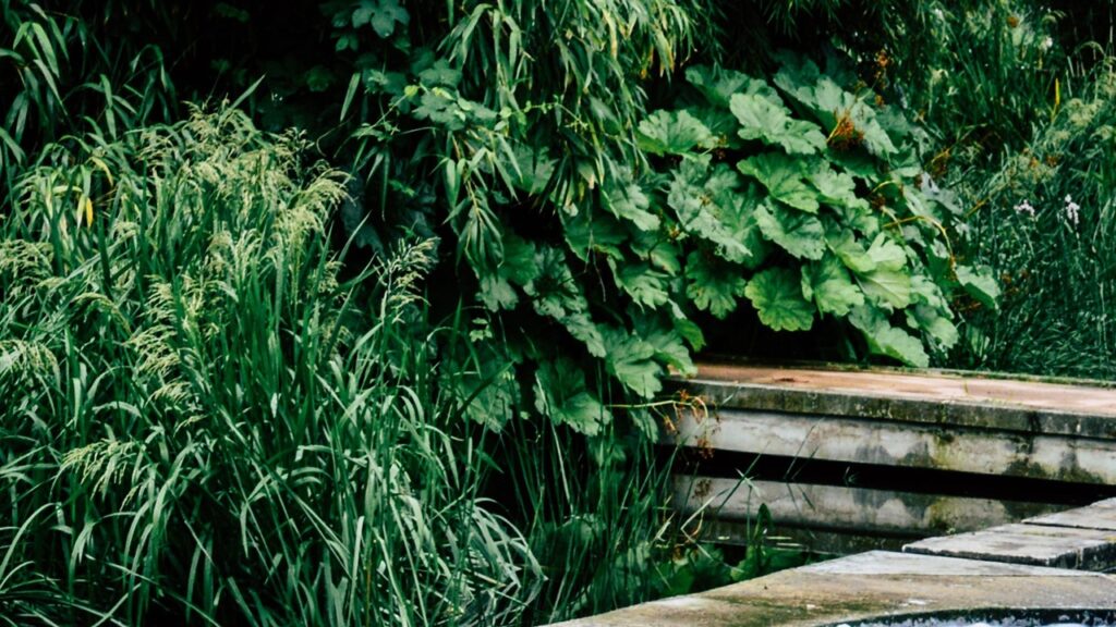 10 bordure da giardino economiche e facili da realizzare