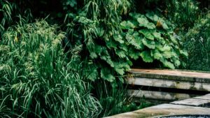 10 bordure da giardino economiche e facili da realizzare