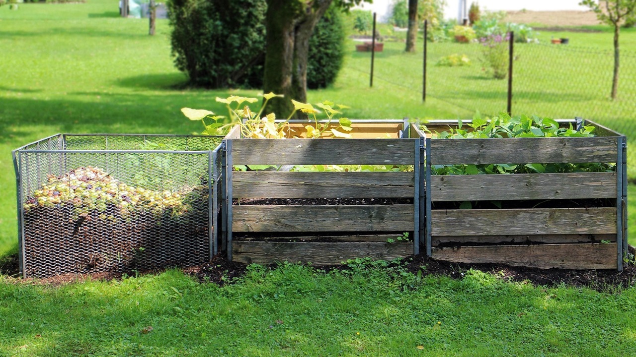 compost
