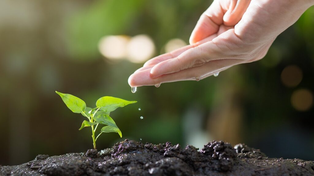 Come rendere il giardinaggio più ecologico e sostenibile