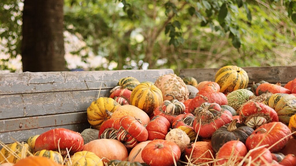 7 parassiti delle zucche da tenere d’occhio