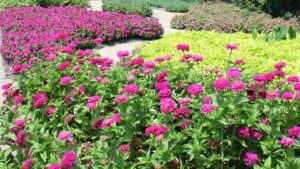 Stanchi di prendervi cura del prato? Ecco con cosa sostituirlo