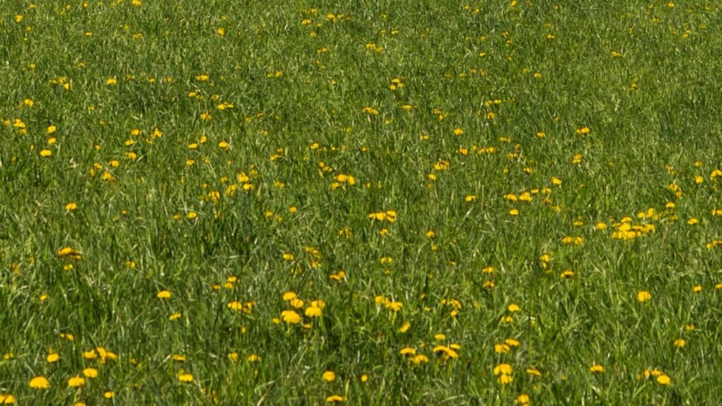 Prato stressato? Forse perché non avete rispettato la “regola del terzo”