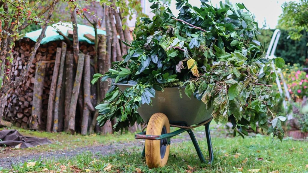 Come eliminare i rifiuti verdi del giardino se non si ha l’apposito bidone?