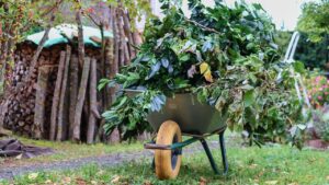 Come eliminare i rifiuti verdi del giardino se non si ha l’apposito bidone?
