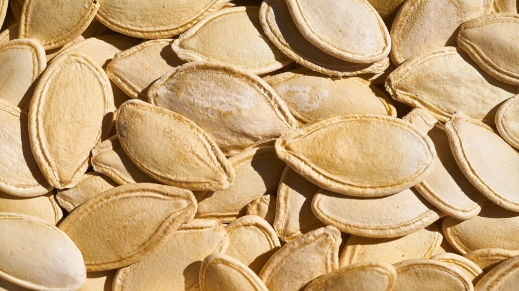 Semi di zucca: il segreto per farli germogliare in casa