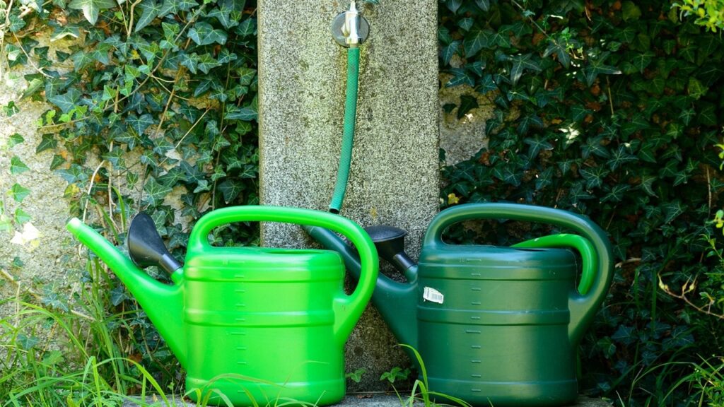 Trucchi salva portafoglio: come risparmiare acqua in giardino