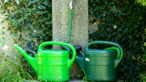 Trucchi salva portafoglio: come risparmiare acqua in giardino