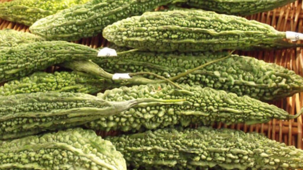 Proprietà nutritive del melone amaro