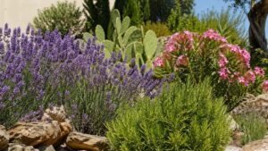 Piante resistenti al caldo: le specie ideali per un giardino verde anche d’estate
