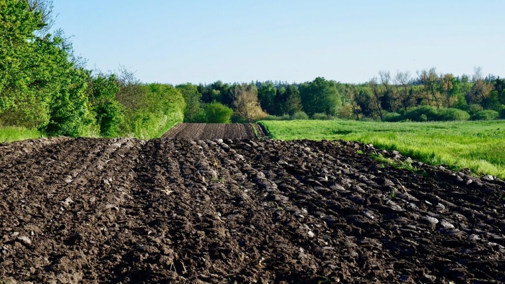 Compostaggio in trincea: come funziona e metterlo in pratica
