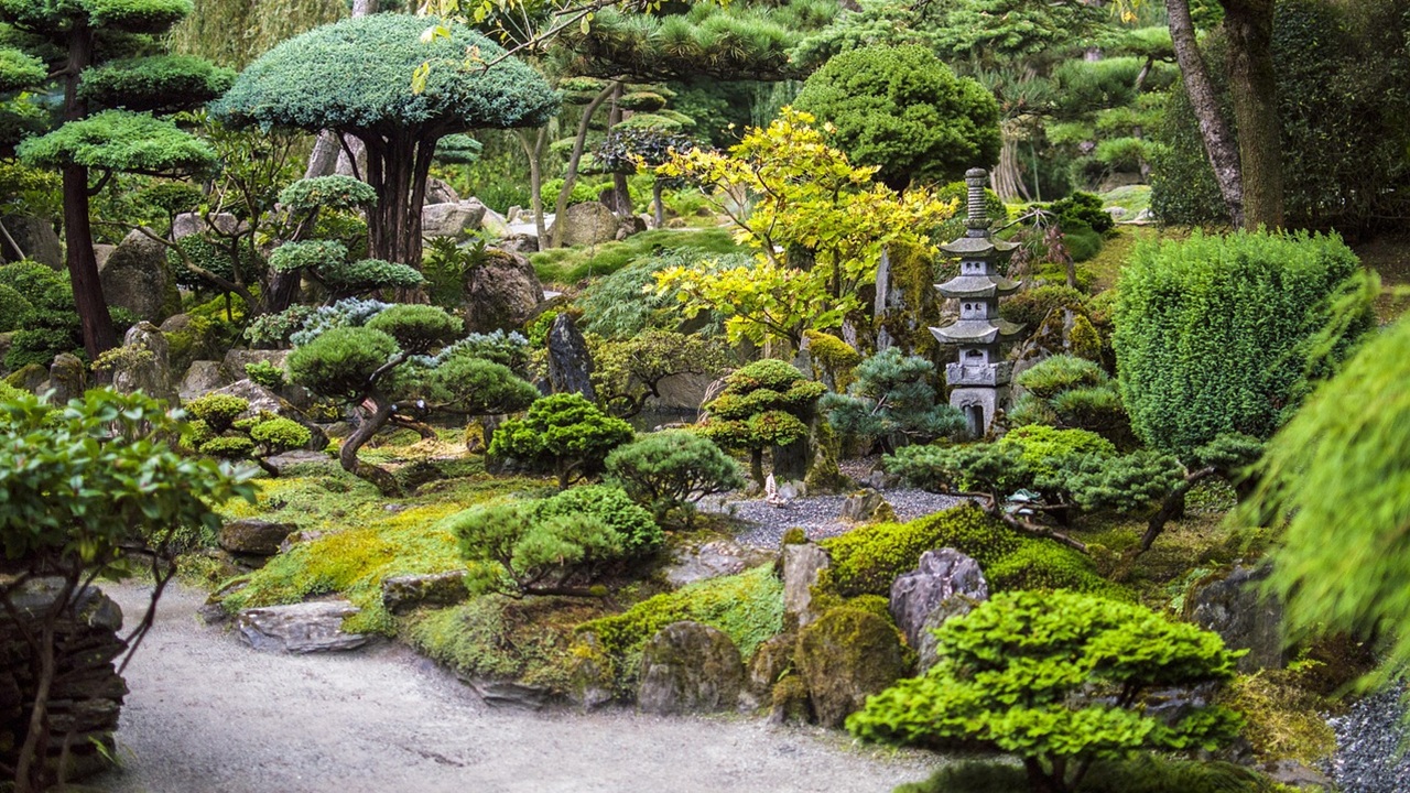 giardino giapponese