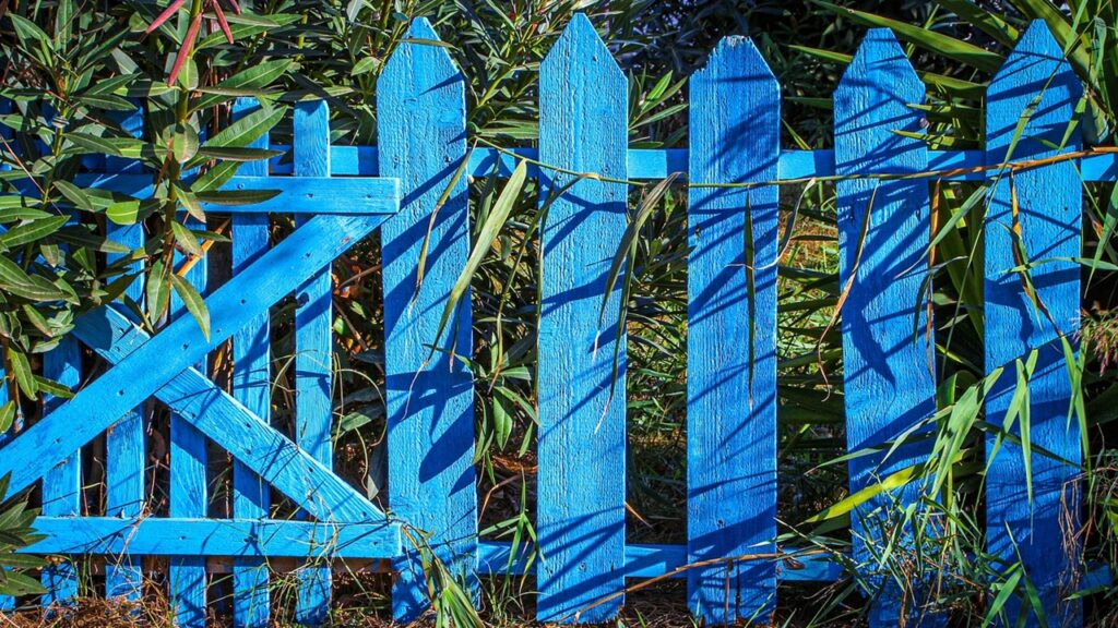 Recinzione del giardino invasa dalle alghe? Ecco come pulirla con l’aceto