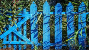 Recinzione del giardino invasa dalle alghe? Ecco come pulirla con l’aceto