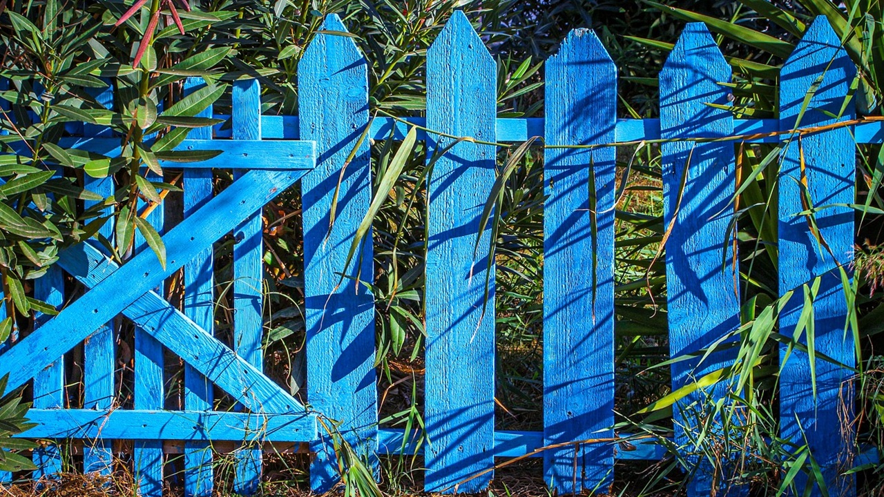 recinzione giardino alghe