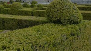 Trend del giardinaggio da non seguire se non volete peggiorare gli spazi esterni