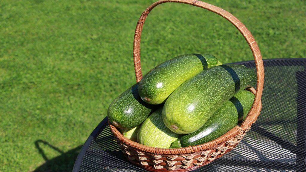 Come aumentare il raccolto di zucchine usando due ingredienti