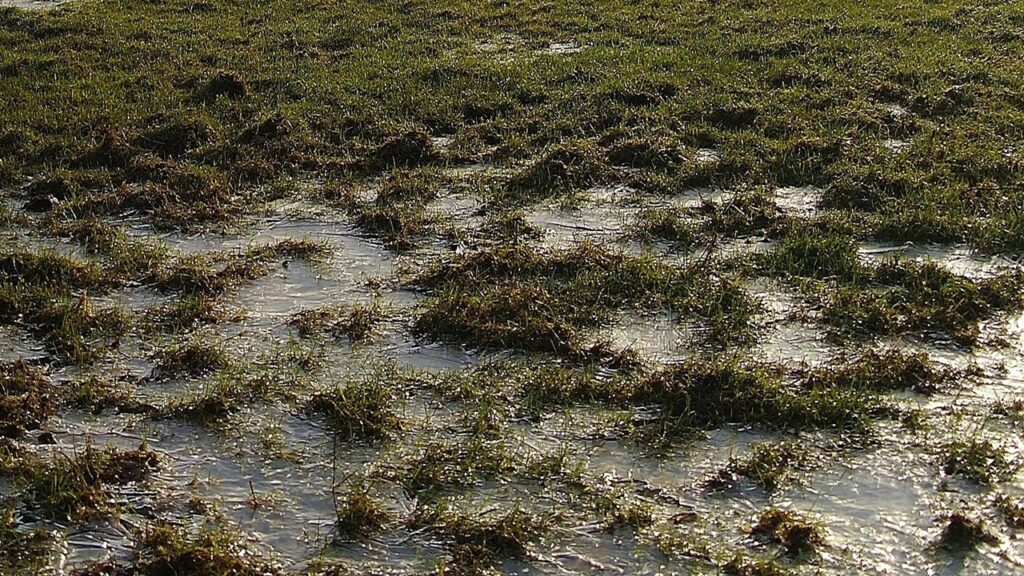 Come migliorare il drenaggio del giardino a seconda del tipo di terreno