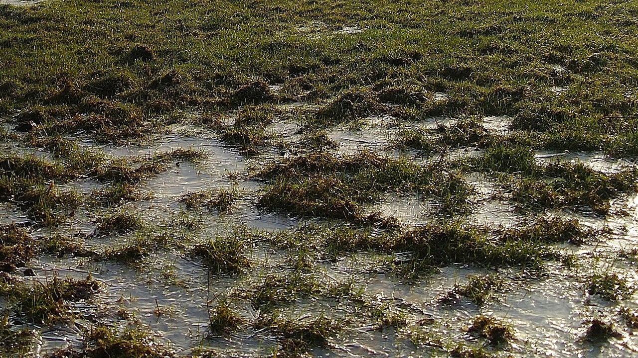 drenaggio giardino