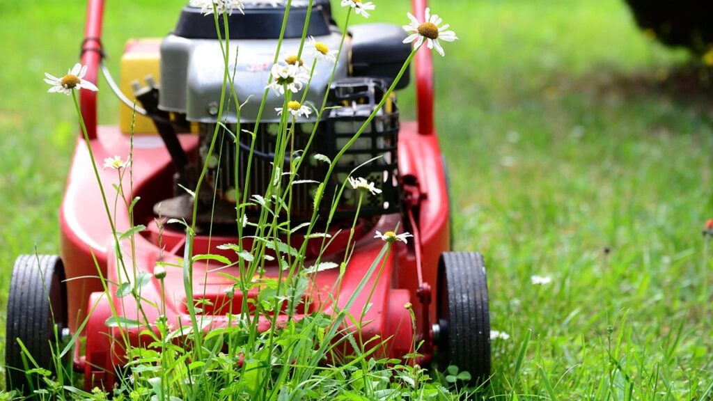 4 modi per riciclare l’erba del giardino