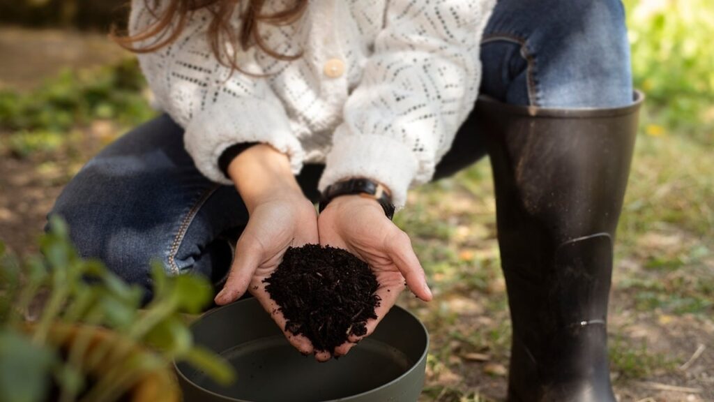 Larve nel compost? Ecco cosa fare