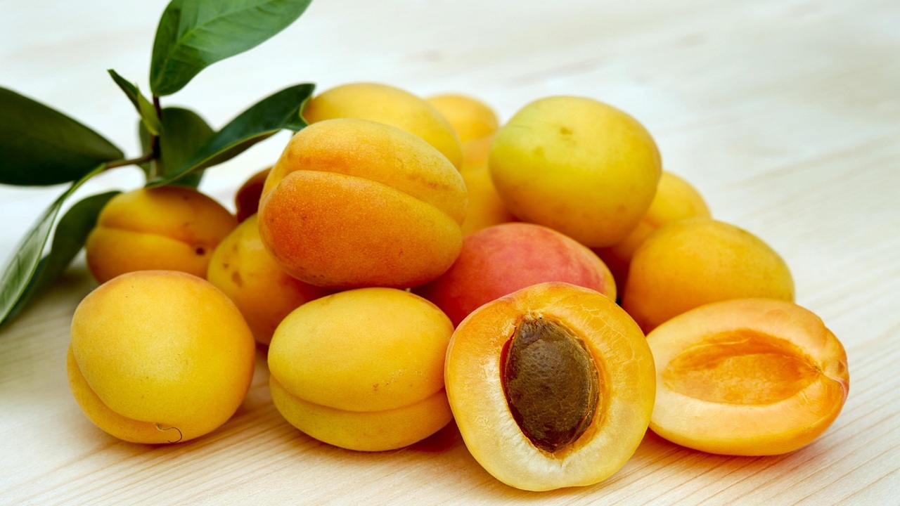 noccioli frutta
