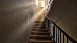 Piante adatte al pianerottolo di casa: quali usare?