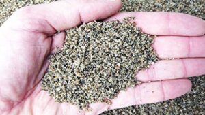 Sabbia da giardinaggio: qual è la differenza con la sabbia normale?