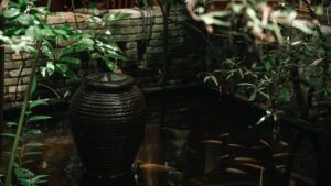 Come creare un micro stagno in giardini microscopici?