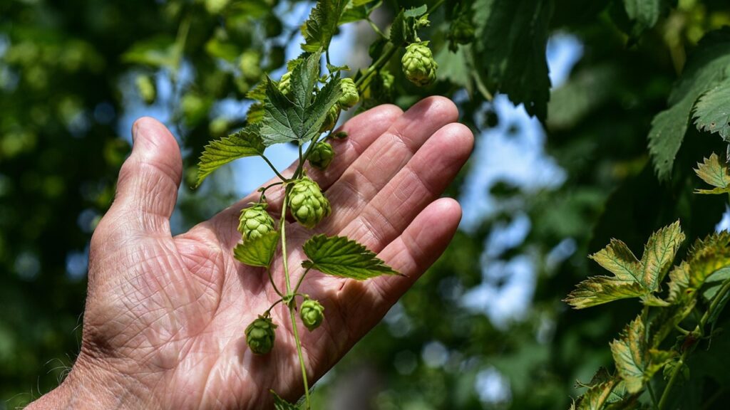 Carenze nutrizionali: come riconoscerle e porvi rimedio