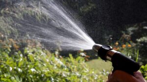 Irrigazione profonda, il metodo che vi permetterà di salvare le piante dal caldo estivo
