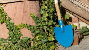 5 lavori di giardinaggio da non fare mai durante le ondate di caldo
