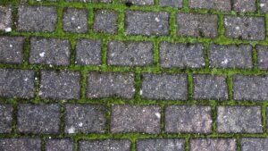 Come eliminare le erbacce fra le piastrelle del pavimento (e gli errori da non fare)