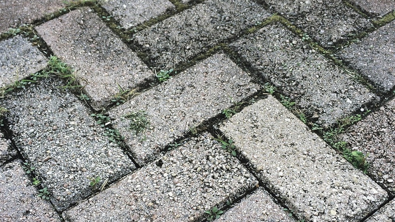 vialetto erbacce